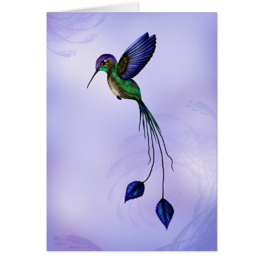 Hummingbird Cards (Front)