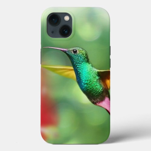 Hummingbird Case_Mate Apple iPhone 13 iPhone 13 Case