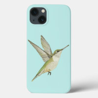 Hummingbird