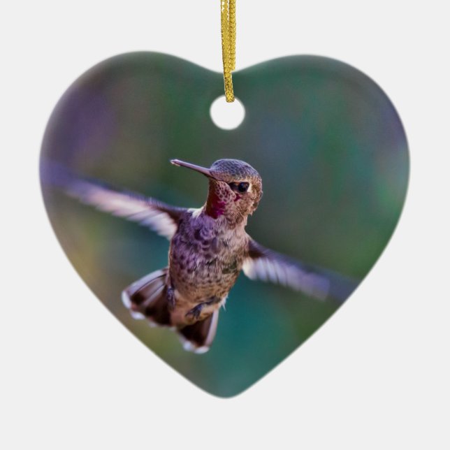Hummingbird Ceramic Ornament (Front)