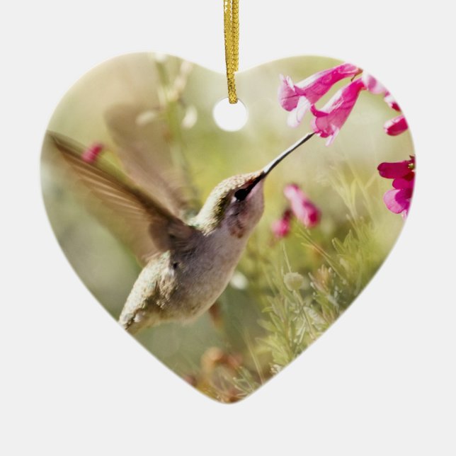 Hummingbird Ceramic Ornament (Front)