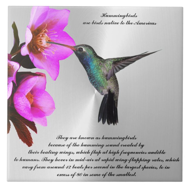 HUMMINGBIRD Ceramic Tile (Front)