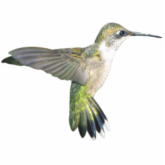 Hummingbird Chirstmas Ornament