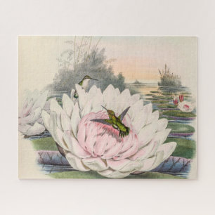 Hummingbird Chlorostilbon Portmanni by Gould Jigsaw Puzzle