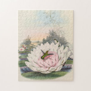 Hummingbird Chlorostilbon Portmanni by Gould Jigsaw Puzzle