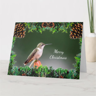 Hummingbird Christmas Card