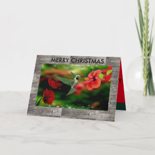 Hummingbird Christmas Card