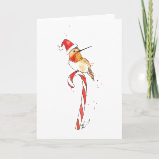 Hummingbird Christmas Card | Zazzle