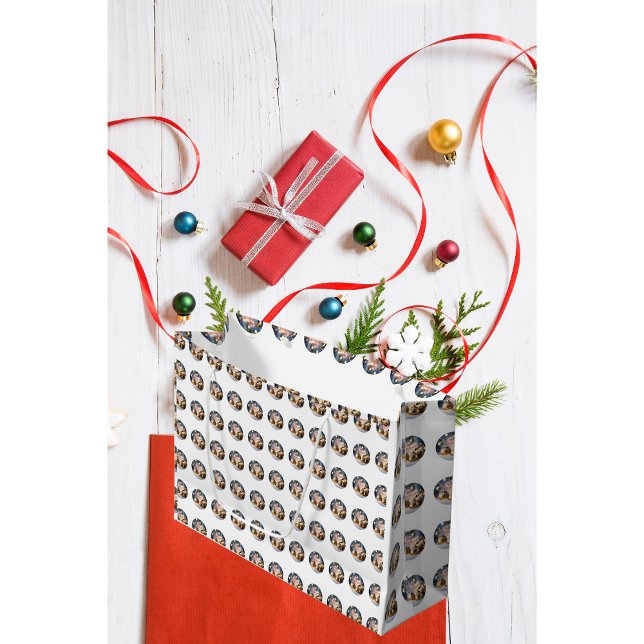Hummingbird Christmas Gift Bag (Creator Uploaded)