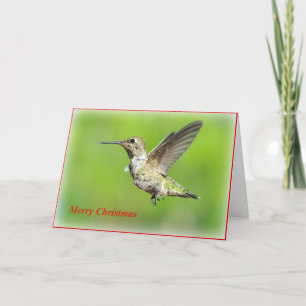 Hummingbird Christmas Greeting Card