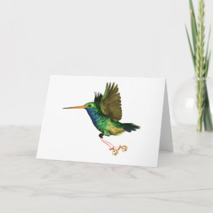 Hummingbird Christmas Holiday Card