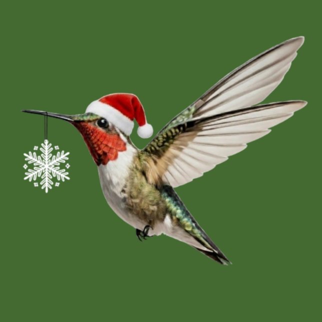 Hummingbird Christmas Ornament snowflake hanging (hummingbird christmas ornament cute bird holding white snowflake decoration wearing a red santa hat)