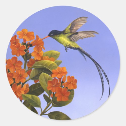 Hummingbird Classic Round Sticker