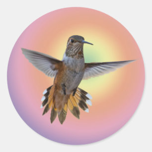 HUMMINGBIRD CLASSIC ROUND STICKER
