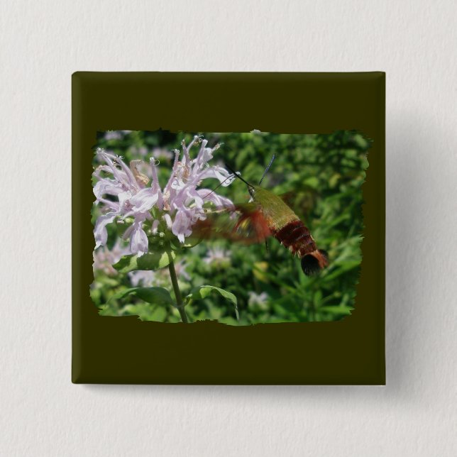 Hummingbird Clear Wing Moth Coordinating Items Pinback Button (Front)