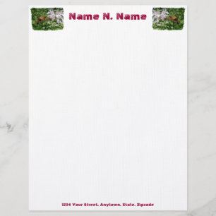 Hummingbird Clear Wing Moth Letterhead