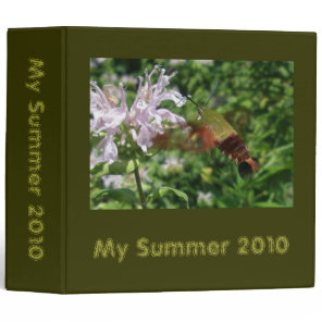 Hummingbird Clearwing Sphinx Moth Binder