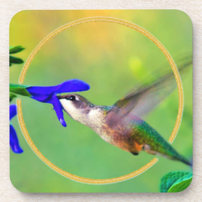 Hummingbird Coaster (Front)