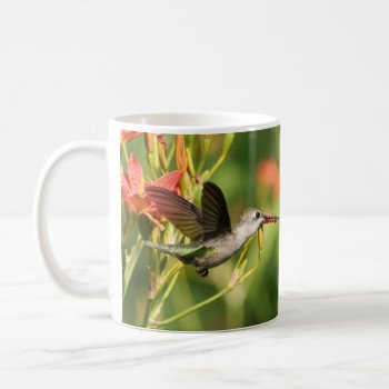 Hummingbird Coffee Mug Ii By Birdingcollectibles by BirdingCollectibles at Zazzle