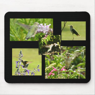 Hummingbird Collage Mouse Pad