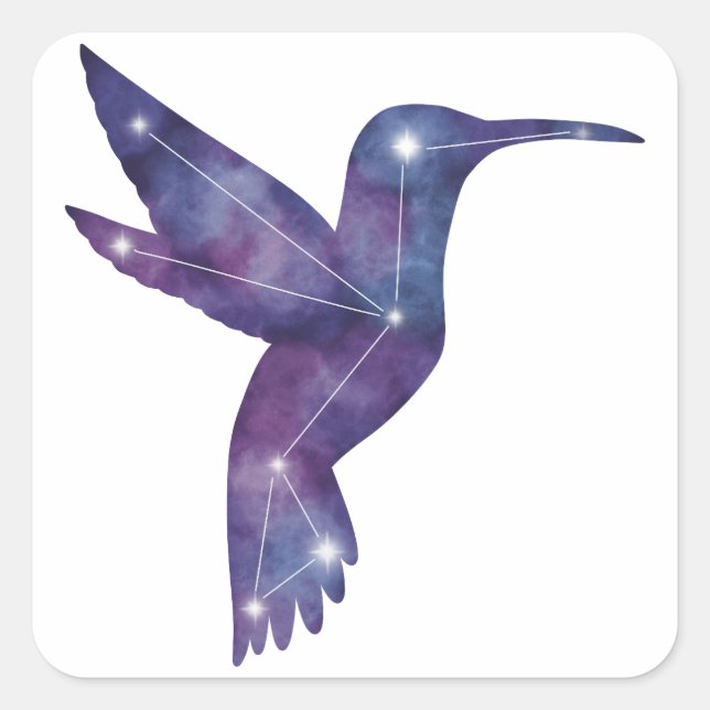 Hummingbird Constellation Sticker (Front)
