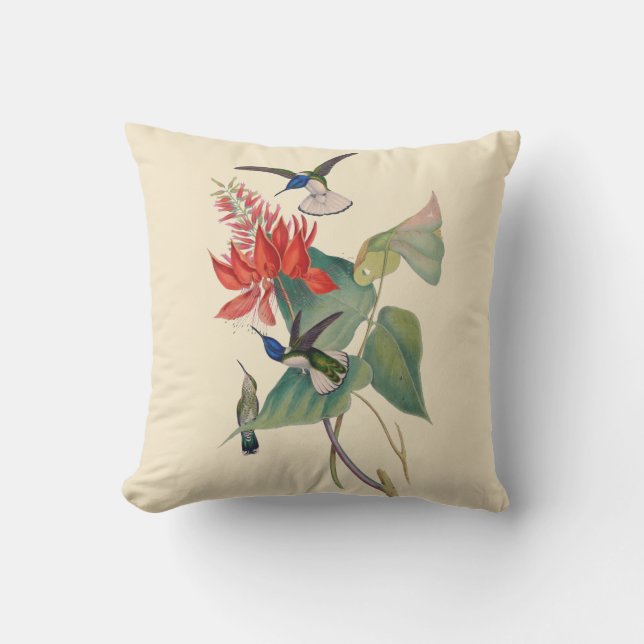 Hummingbird Coral Bean Outdoor Throw Pillow 16X16 (Front)