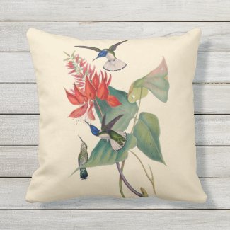 Hummingbird Coral Bean Outdoor Throw Pillow 16X16