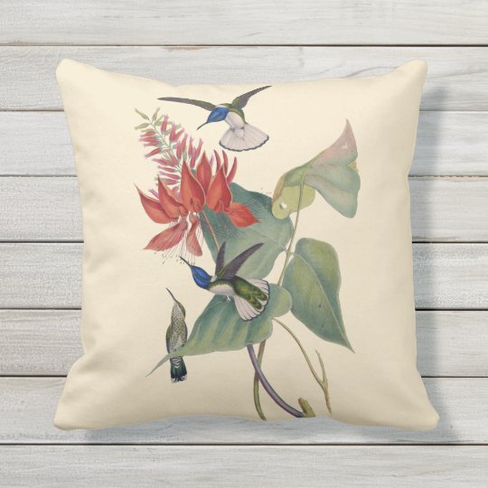 Hummingbird Coral Bean Outdoor Throw Pillow 16X16
