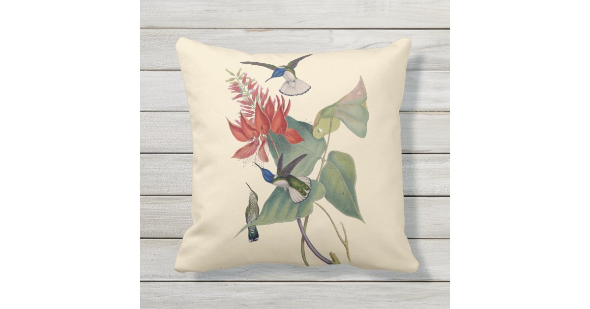 Hummingbird Coral Bean Outdoor Throw Pillow 16X16