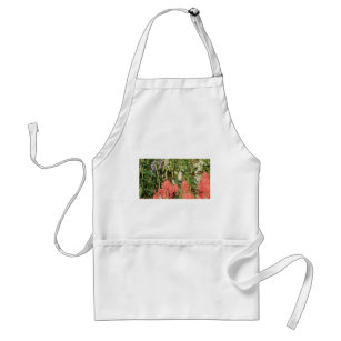hummingbird coral red flowers adult apron