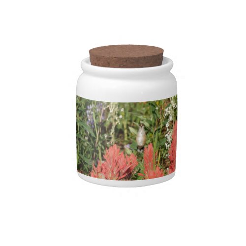 hummingbird coral red flowers candy jar