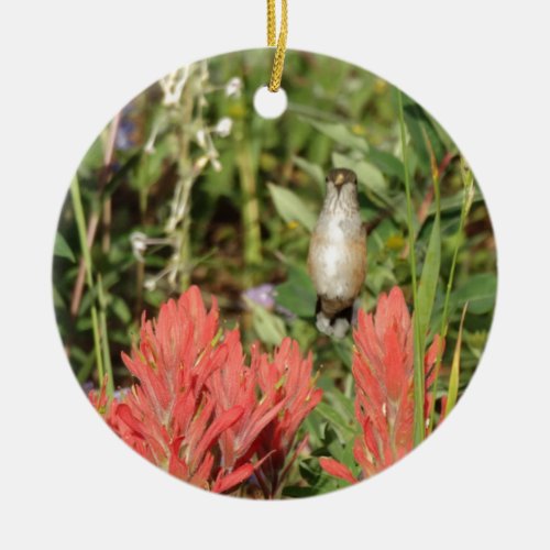 hummingbird coral red flowers ceramic ornament