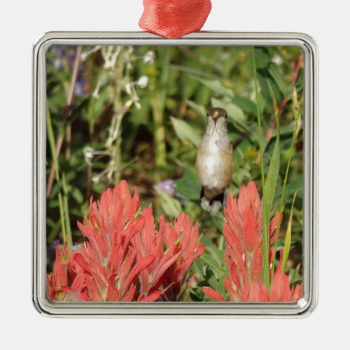 hummingbird coral red flowers metal ornament