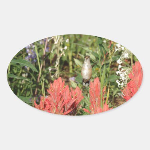 hummingbird coral red flowers oval sticker