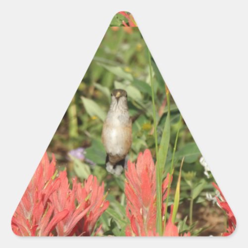 hummingbird coral red flowers triangle sticker