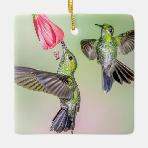 Hummingbird Couple Flying Together Name Ceramic Ornament