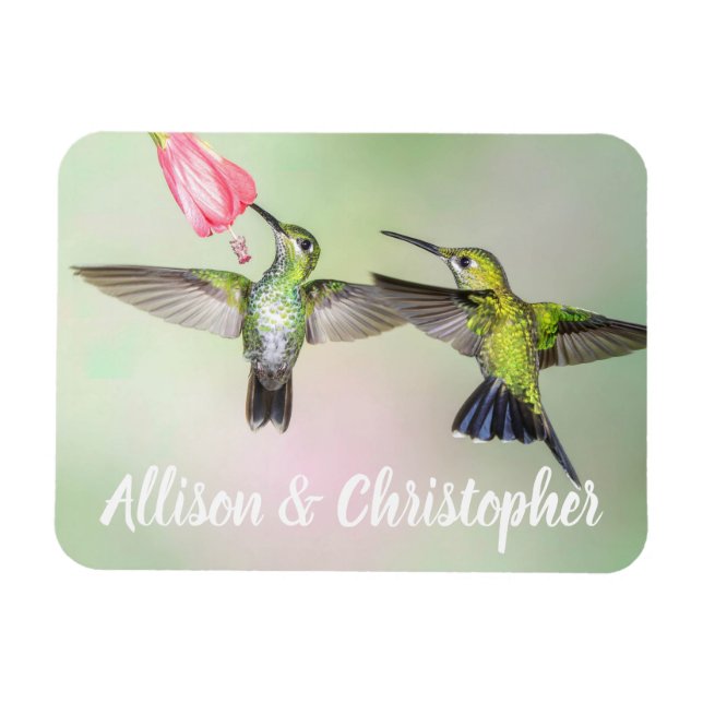 Hummingbird Couple Flying Together Personalized Magnet (Horizontal)