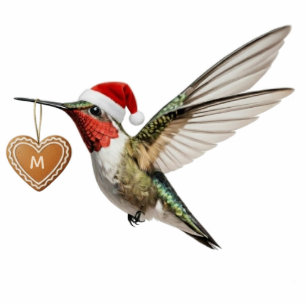 Hummingbird Custom Monogram Christmas Ornament