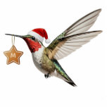 Hummingbird Customized Monogram Christmas Ornament<br><div class="desc">"hummingbird wearing red santa hat",  "holding cookie christmas decoration",  "gingerbread star tree ornament",  "flying humming bird in flight",  "ruby throated throat",  "christmassy funny humorous humor",  "cute wildlife birds fly",  "hummer birding nature animals",  "personalized customized personal",  "custom monogram letter initial"</div>