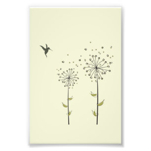 Hummingbird & Dandelion Photo Print
