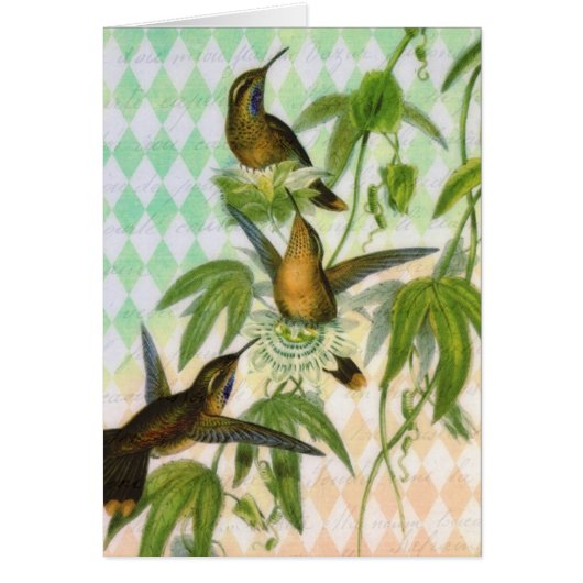 Hummingbird Digital Art Cards (Front)