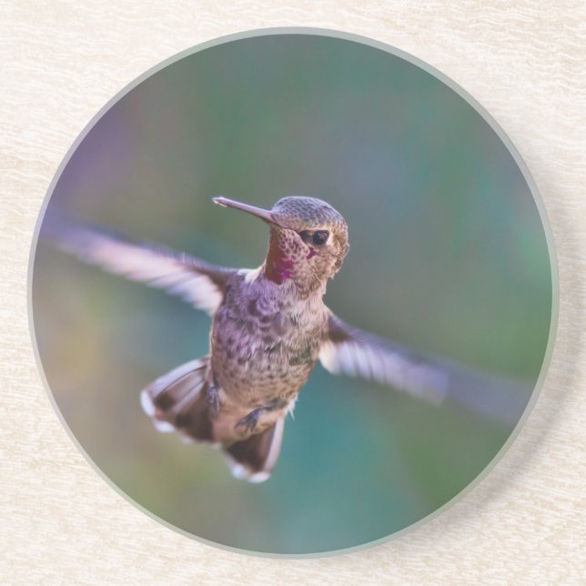 Hummingbird Drink Coaster (Front)
