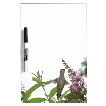 Hummingbird Dry Erase Board by MoonArtandDesigns at Zazzle