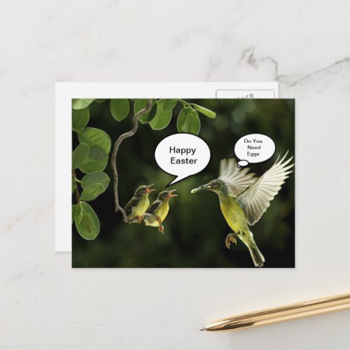 Hummingbird Easter Greeting Holiday Postcard