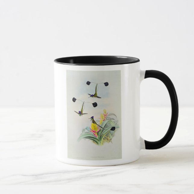 Hummingbird, engraved by Walter and Cohn Mug (Right)