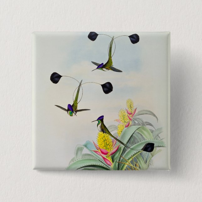 Hummingbird, engraved by Walter and Cohn Pinback Button (Front)