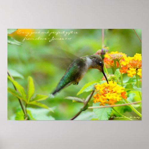 Hummingbird   Every good and perfect gift Poster