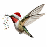 Hummingbird & Fairy Lights Bird Christmas Ornament<br><div class="desc">"hummingbird wearing red santa hat", "holding lighting christmas decoration", "colorful string lights tree ornament", "flying humming bird in flight", "ruby throated throat", "christmassy funny humorous humor", "cute wildlife birds fly", "hummer birding nature animals", "merry xmas bird lovers fans", "beak hanging carrying animal"</div>
