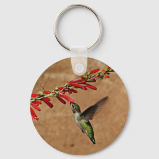 Hummingbird feeding at the garden keychain