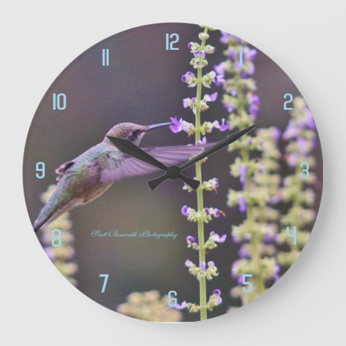 Hummingbird Feeding Large Clock